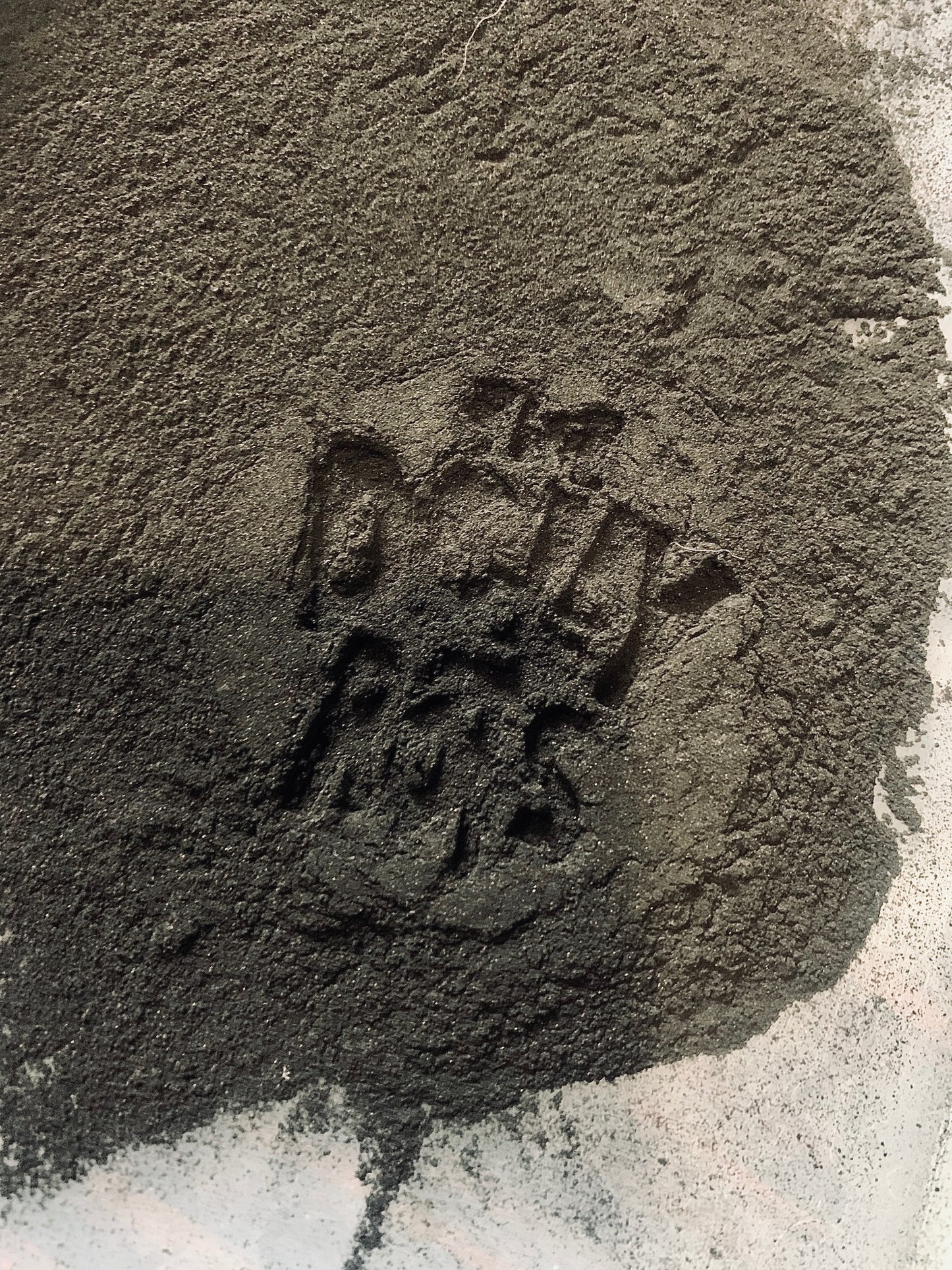 Be "Naturally Deodorized" with The Dollyrots' Signature Soap from Chopping Block Soap Co.